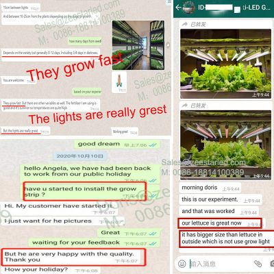 LED Grow Light - Customer Feedback