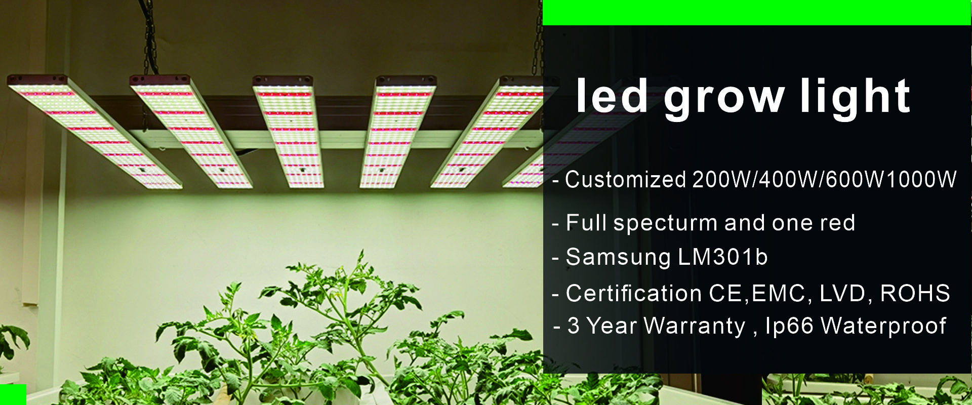high umol 600w dimmable hydroponic greenhouse full spectrum led grow ...