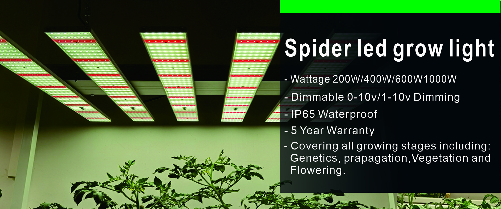 lm301b 1000w waterproof full spectrum strip led grow light bar for ...