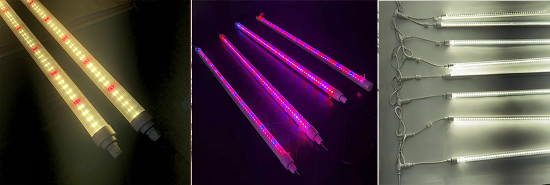 full spectrum bar t5 t8 tube lamp growing led for hydroponic strawberry