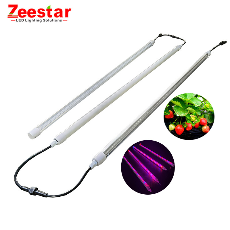 full spectrum bar t5 t8 tube lamp growing led for hydroponic strawberry