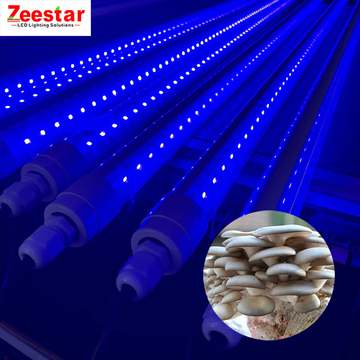 T8 blue full spectrum waterproof led grow tube light for mushroom
