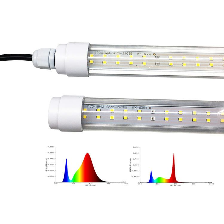 waterproof 470nm blue spectrum led oyster mushroom grow light lamp