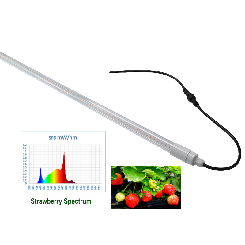 waterproof greenhouse led grow tube light strawberry
