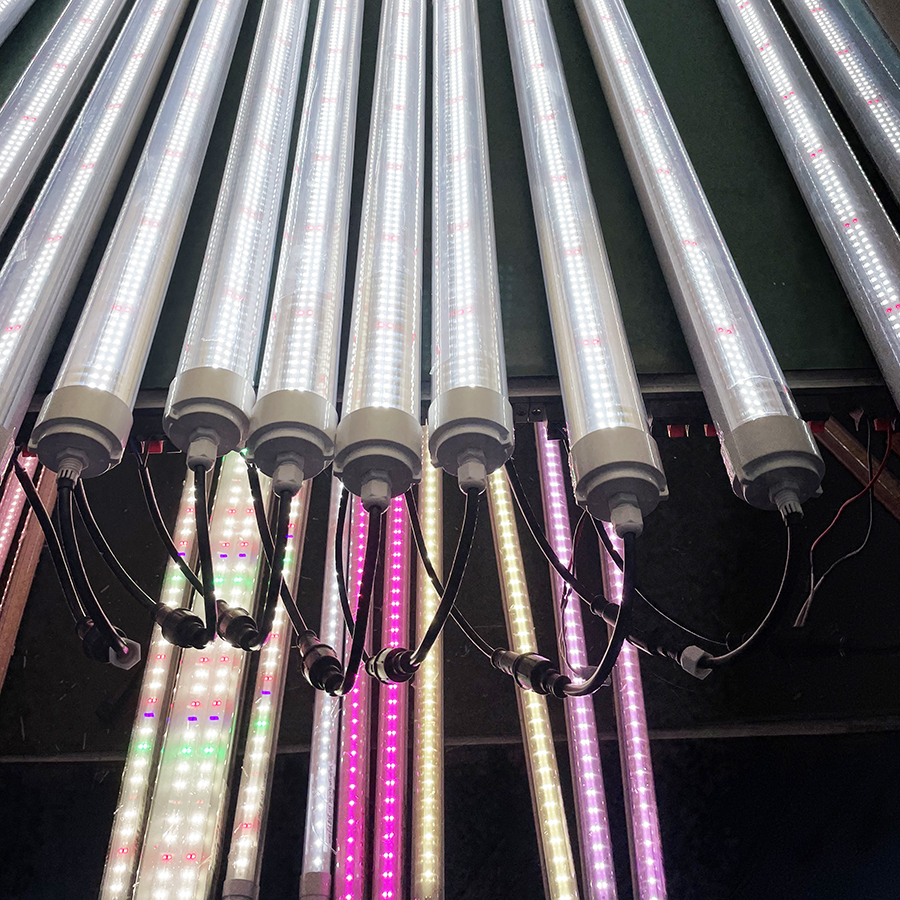 hydroponics LED Grow Lights for Saffron Farming full range of spectrum