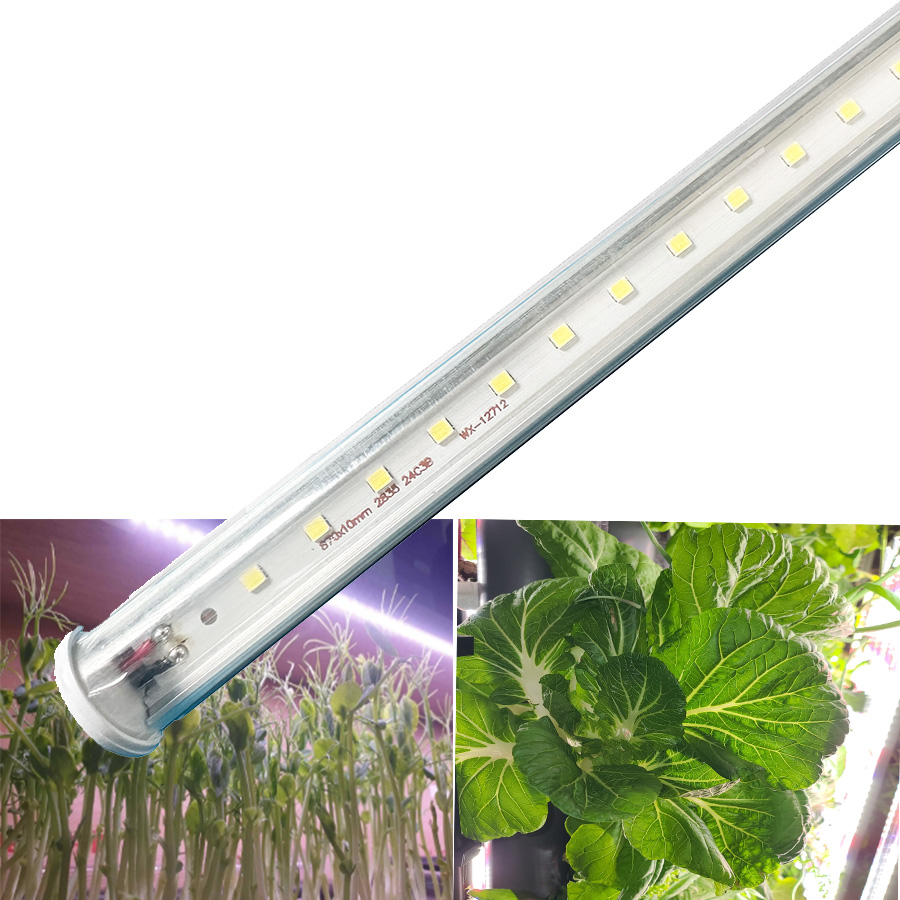 LED Agriculture Greenhouse Grow Lights for grapes, livestock, stone fruits (cherries, plums), tomatoes