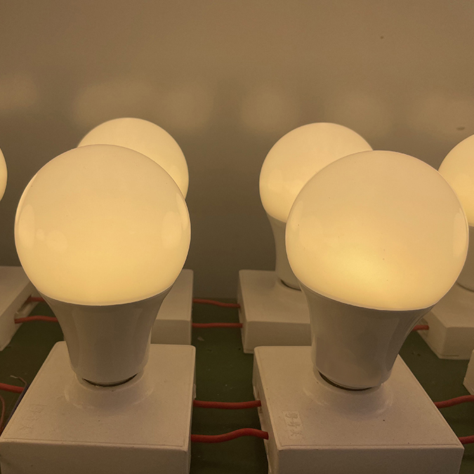 illuminated E27 poultry LED bulbs