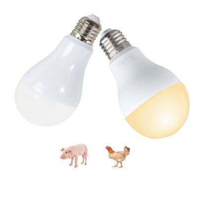 LED Poultry Light
